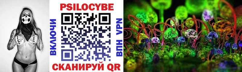 где купить наркотик  Меленки  hydra вход  Галлюциногенные грибы Psilocybine cubensis 